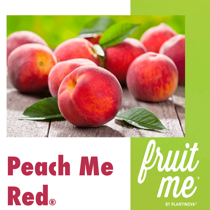 PEACH ME RED